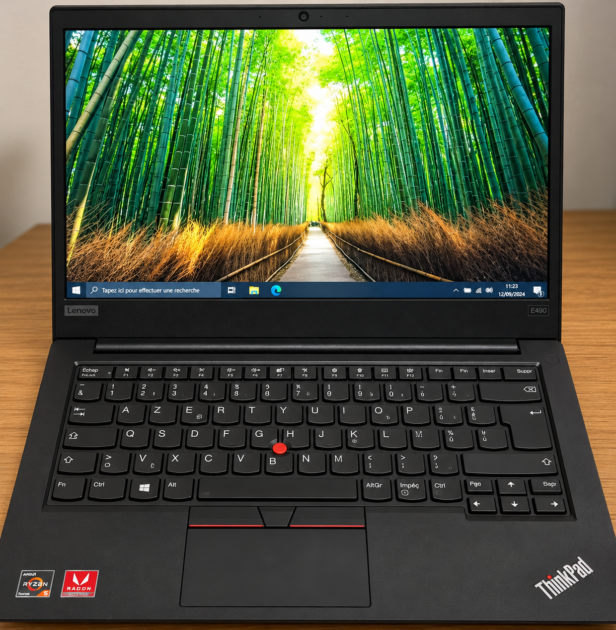 Lenovo Thinkpad E495 AMD Ryzen 3